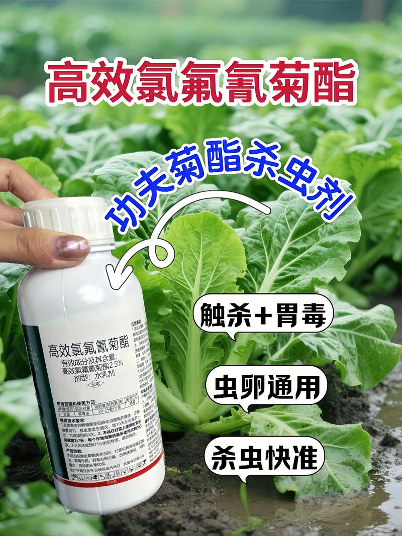 海北代生中心:农药对供卵代生妈妈的危害